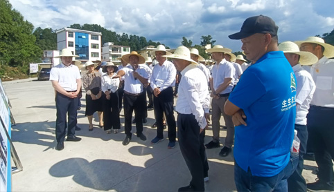 廣東貴州兩省調研組走進生生臺江縣稻漁產業化發展示范園