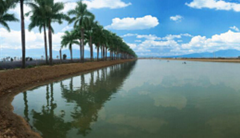 喜訊！宏益養殖場獲國家級水產健康養殖示范基地榮譽