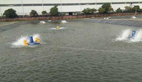 “高效循環(huán)水養(yǎng)殖設(shè)備與智能漁業(yè)系統(tǒng)”正式啟動