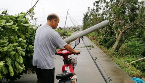 強(qiáng)風(fēng)中的勇者