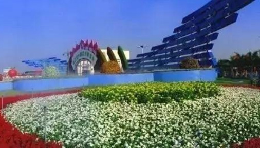 贊！廣東省重點農(nóng)業(yè)龍頭企業(yè)名單出爐！順德14家企業(yè)入選！