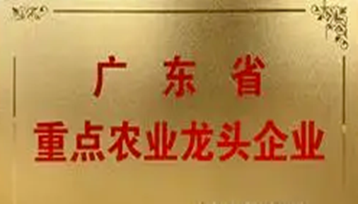 鄉(xiāng)村振興再添力量！66家佛山企業(yè)獲評省重點農(nóng)業(yè)龍頭企業(yè)
