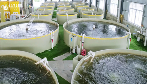 水產(chǎn)品年產(chǎn)超10萬噸、供港澳活魚年銷超10億、幫扶超1萬戶農(nóng)戶產(chǎn)出數(shù)十億……生生農(nóng)業(yè)集團如何與全產(chǎn)業(yè)鏈實現(xiàn)相互賦能？