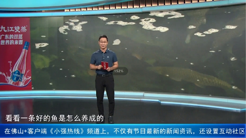 《小強熱線》探訪順德生生農(nóng)業(yè)集團，揭秘一條好的魚是怎么養(yǎng)成的