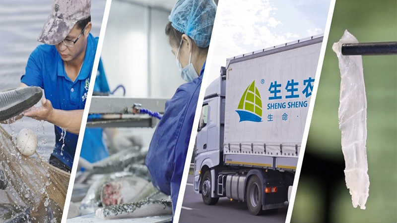 新華網(wǎng)：生生深耕淡水水產(chǎn)養(yǎng)殖 筑牢食品安全屏障