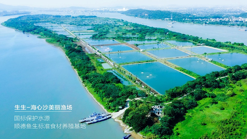 喜訊！生生獲評“國家級水產(chǎn)健康養(yǎng)殖和生態(tài)養(yǎng)殖示范區(qū)”