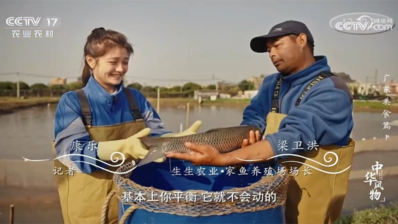 生生農業集團又雙叒亮相央視！CCTV-17《中華風物》介紹生生草魚