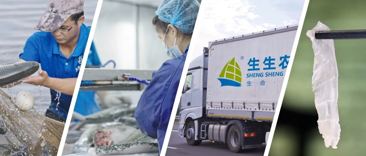 守護餐桌安全，解鎖生生農業集團的食品安全密碼